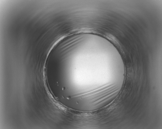 X0000064771190200602241942