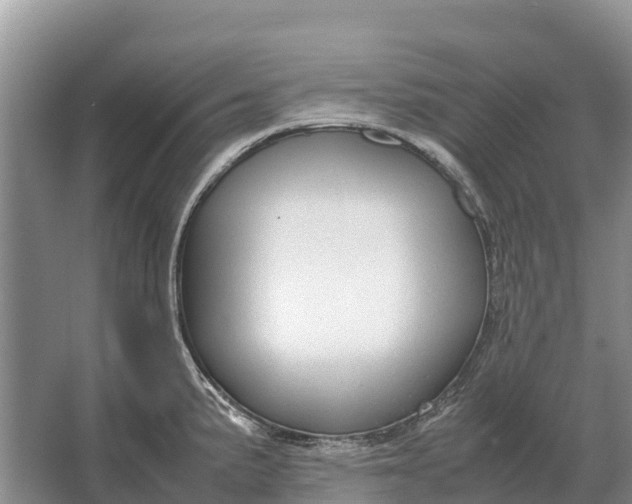 X0000064771191200602241942