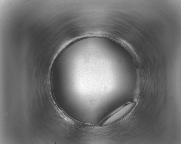 X0000064771192200602241942