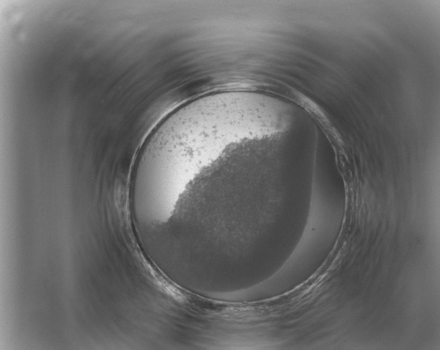 X0000064771194200602241942