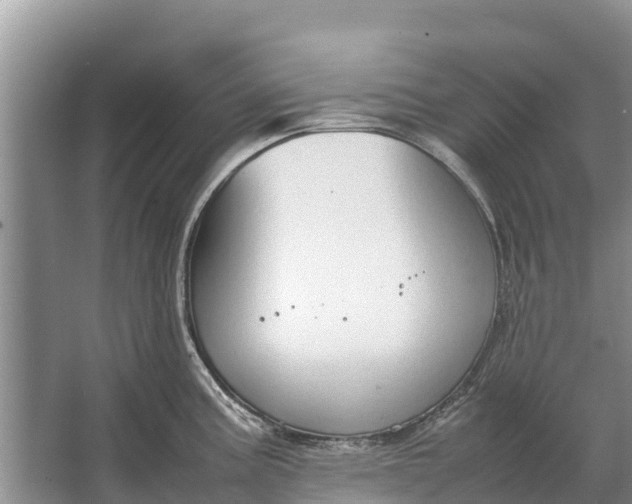 X0000064771195200602241942