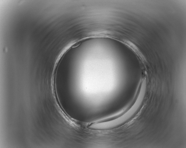 X0000064771196200602241941