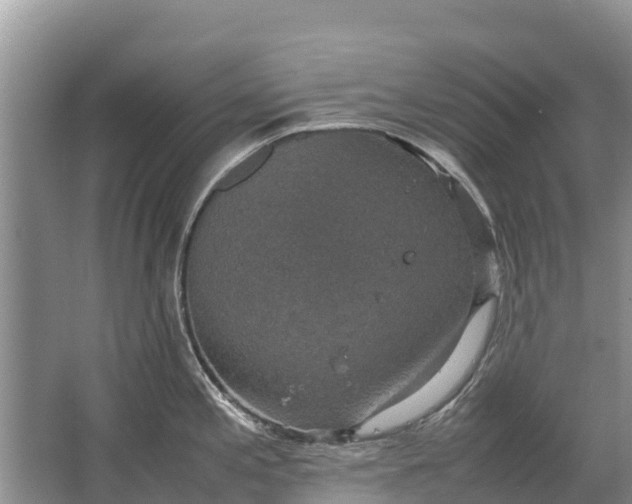 X0000064771197200602241941