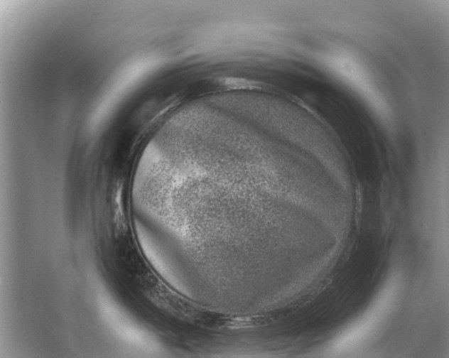 X0000064771198200602241941