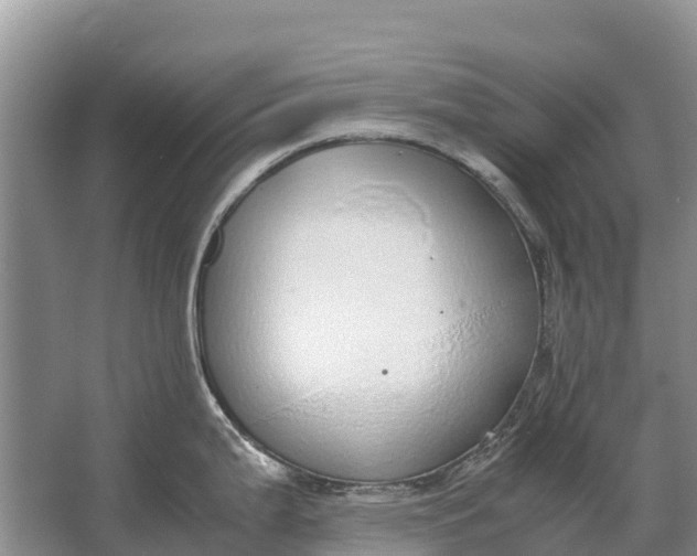 X0000064771199200602241941