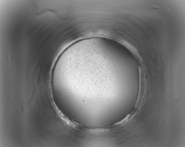 X0000064771200200602241941