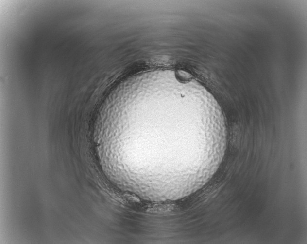 X0000064771201200602241940