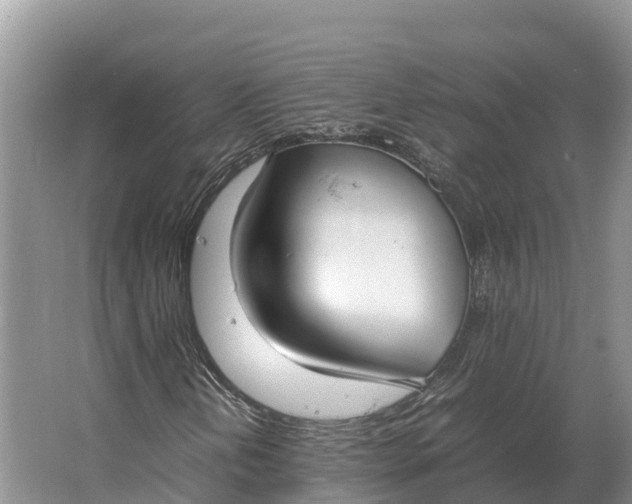 X0000064771202200602241940