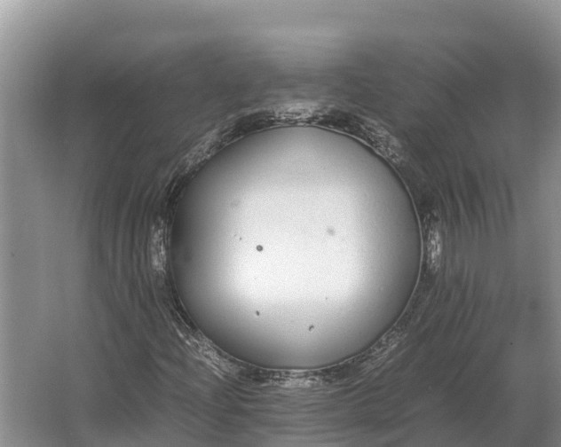 X0000064771204200602241940