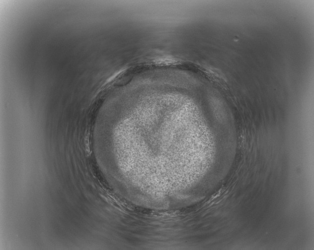 X0000064771205200602241940