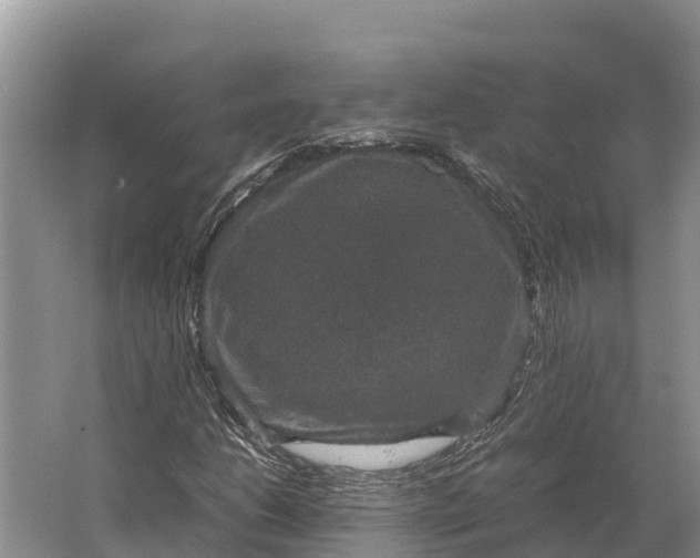 X0000064771206200602241940