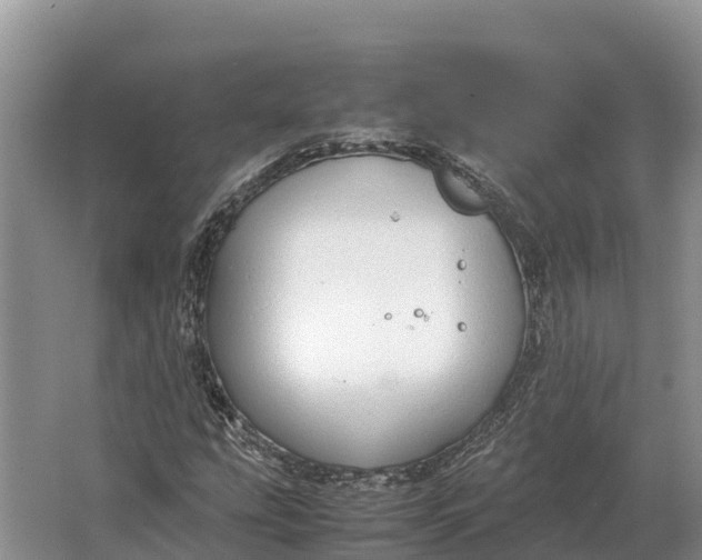 X0000064771207200602241940