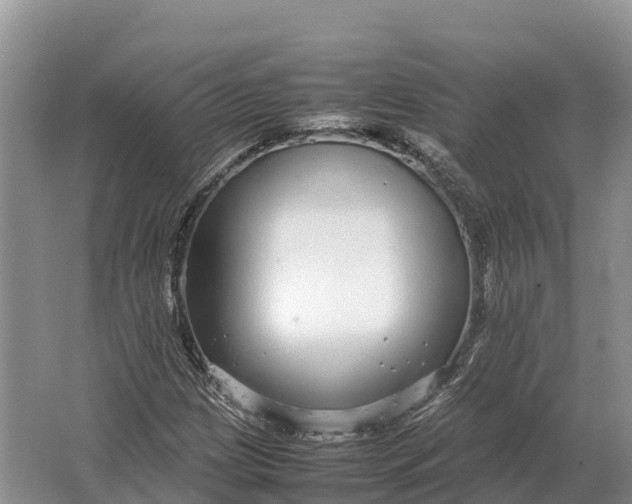 X0000064771209200602241940