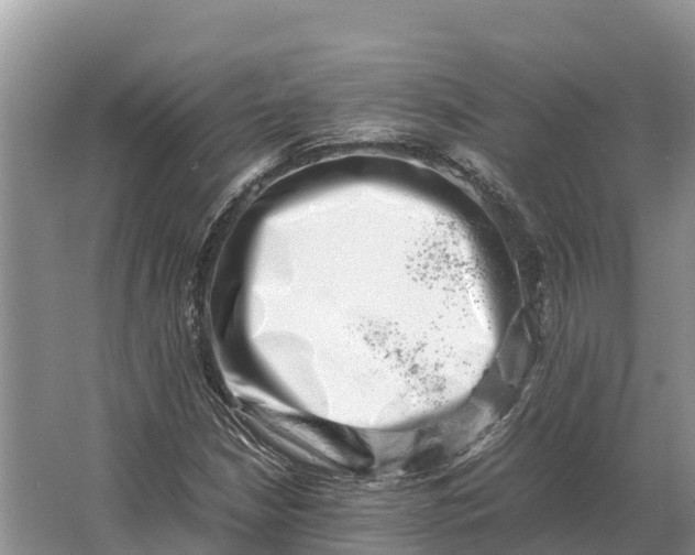 X0000064771210200602241940