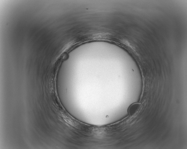 X0000064771211200602241940