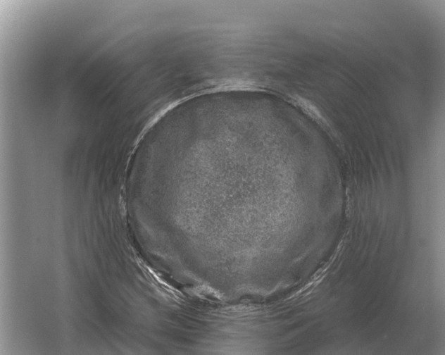 X0000064771212200602241940