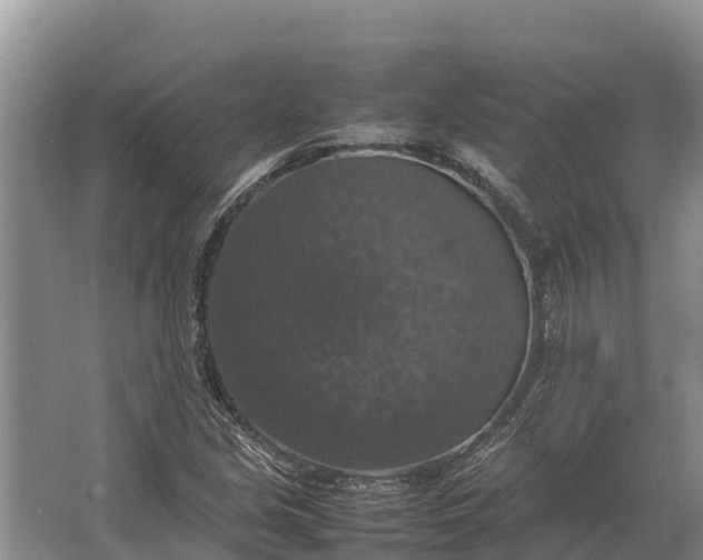 X0000064771213200602241940