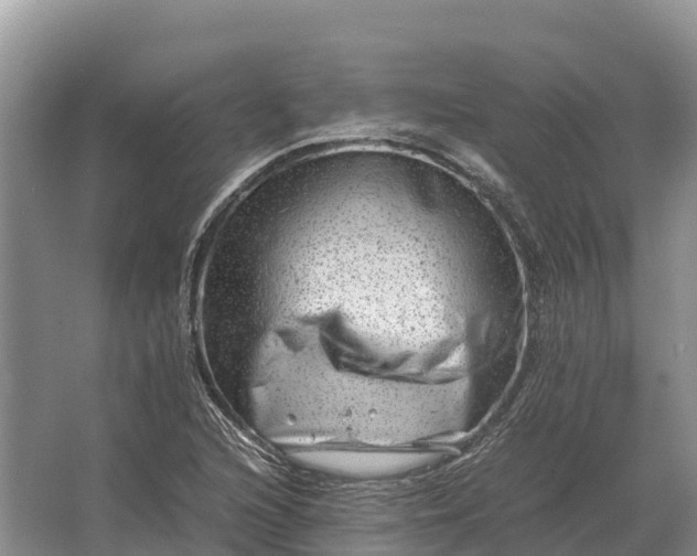 X0000064771216200602241941