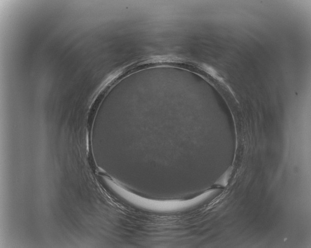 X0000064771221200602241941