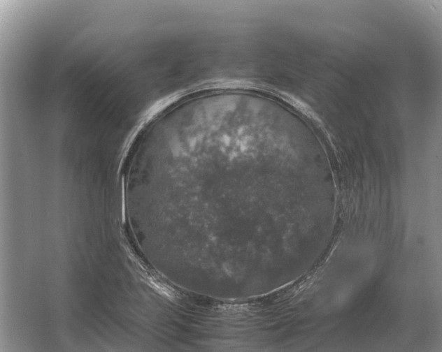 X0000064771223200602241941