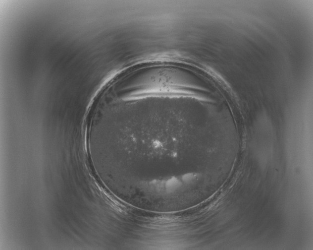 X0000064771224200602241941