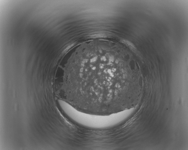 X0000064771225200602241941