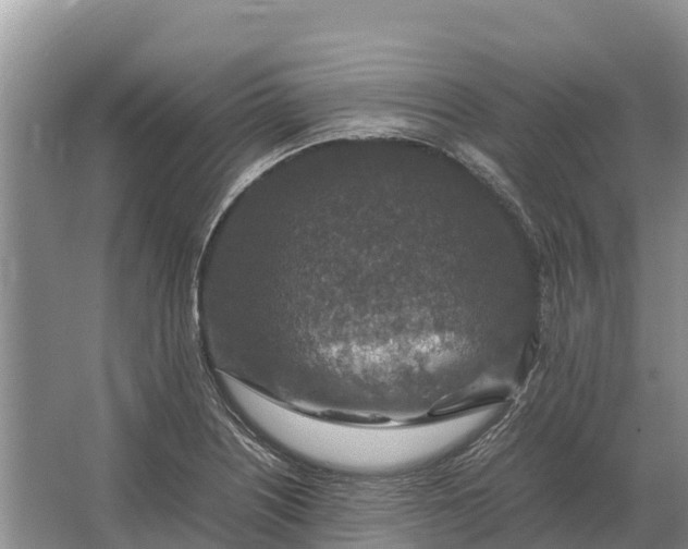 X0000064771226200602241941