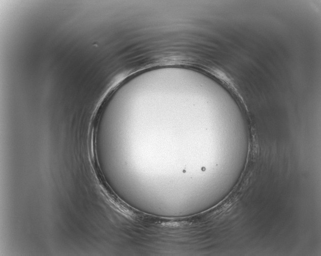 X0000064771227200602241941