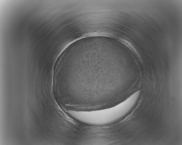 X0000064771228200602241941