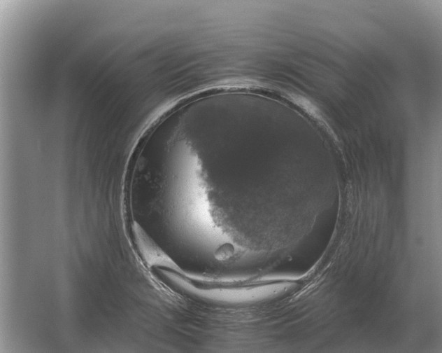 X0000064771229200602241941