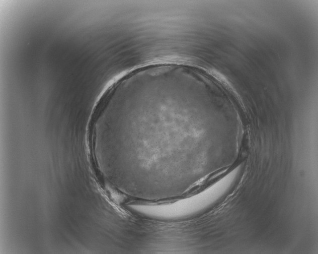 X0000064771230200602241941