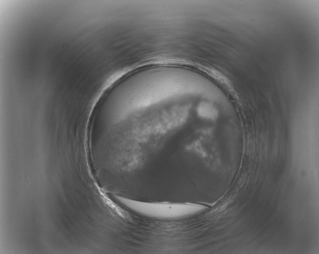 X0000064771231200602241941