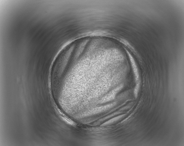 X0000064771232200602241941