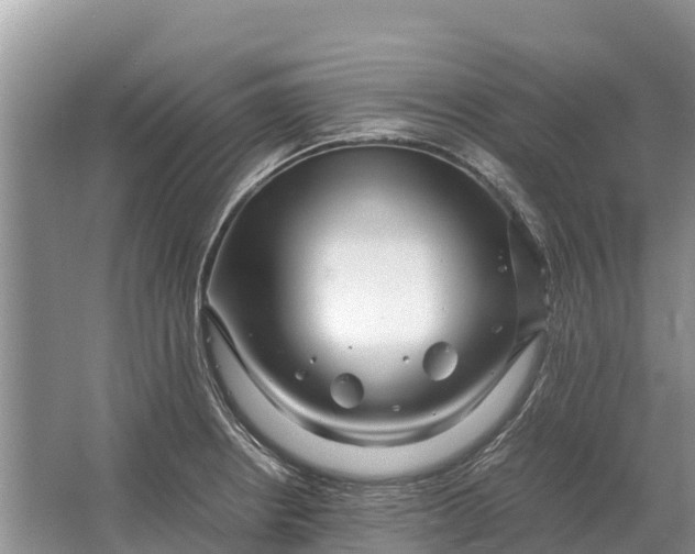 X0000064771234200602241941