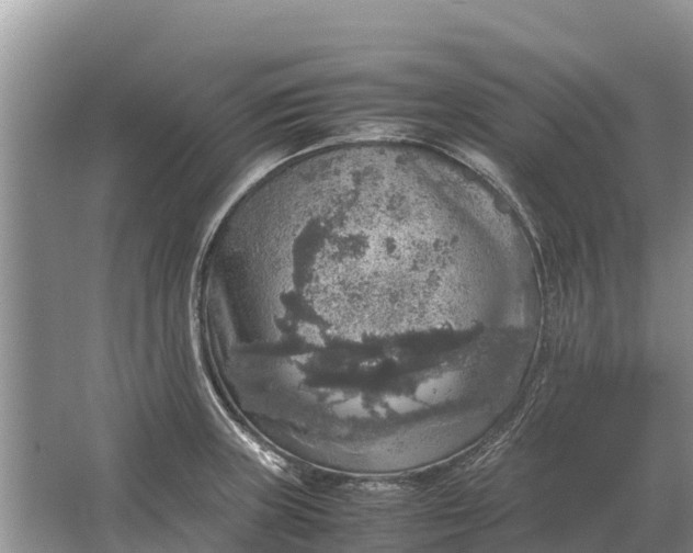 X0000064771235200602241941