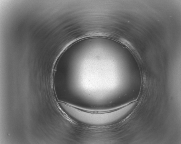 X0000064771236200602241941