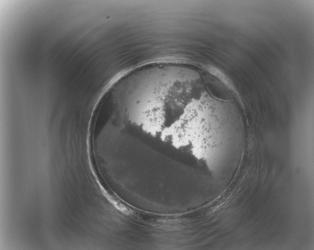 X0000064771237200602241941