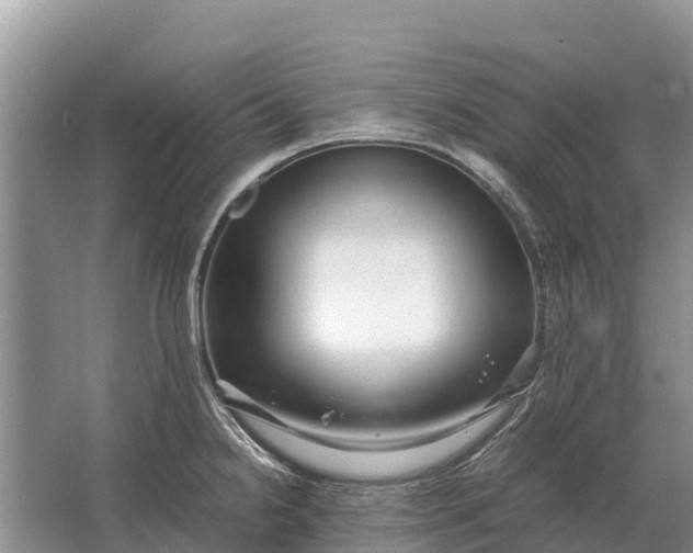 X0000064771238200602241941