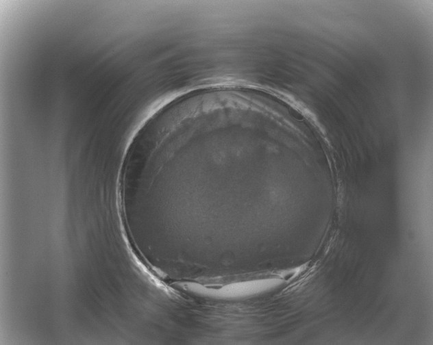 X0000064771239200602241941