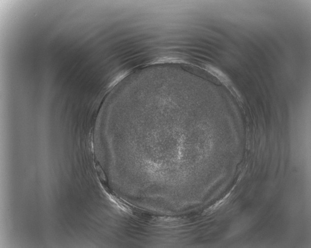 X0000064771241200602241941