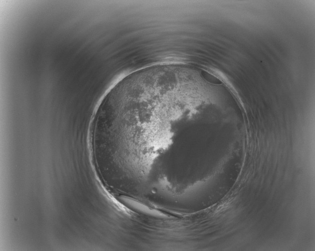 X0000064771243200602241941