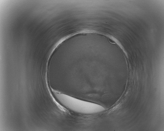 X0000064771245200602241941