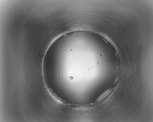 X0000064771246200602241941