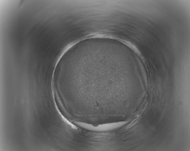 X0000064771247200602241941