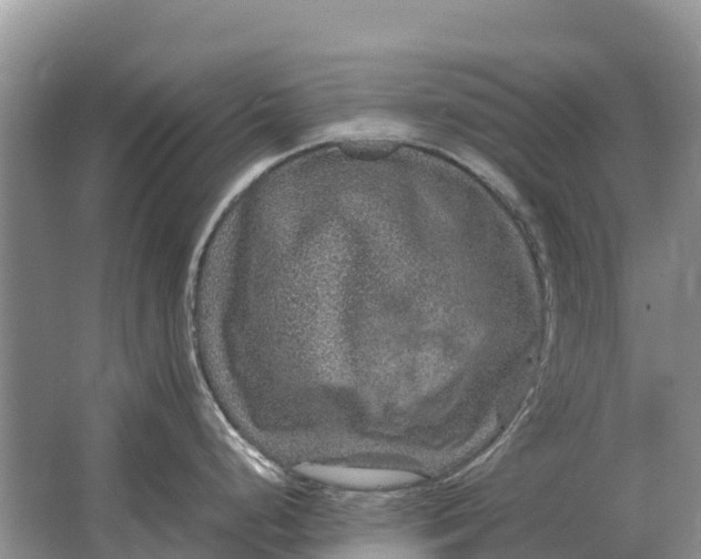 X0000064771248200602241941