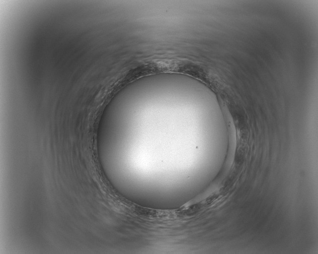 X0000064771249200602241940