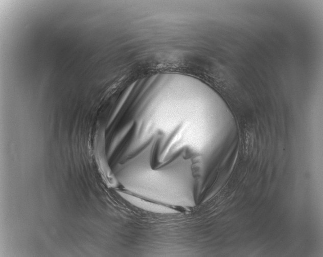 X0000064771250200602241940