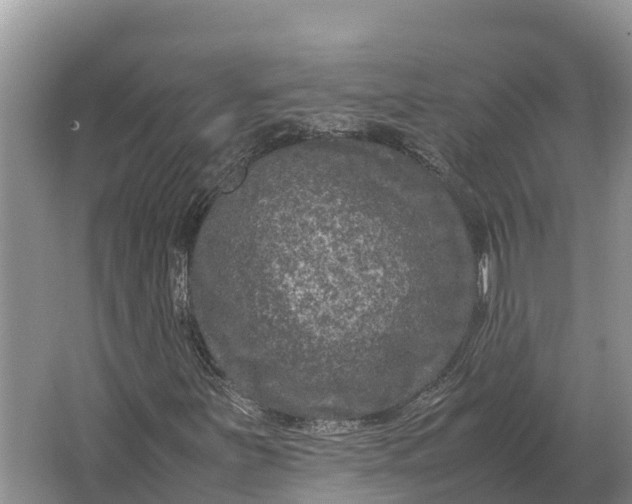 X0000064771251200602241940