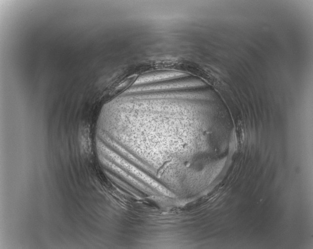 X0000064771252200602241940