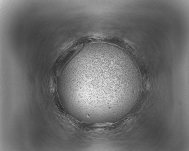 X0000064771253200602241940